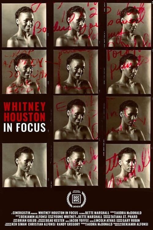 Постер: Whitney Houston in Focus