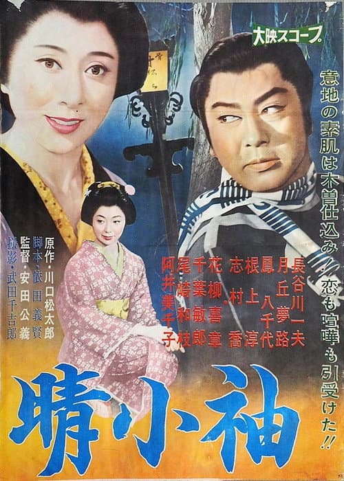 Постер: 晴小袖