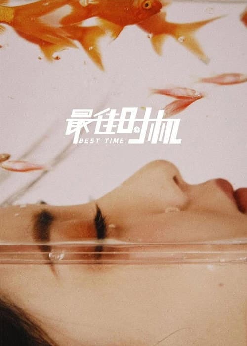 Постер: 最佳时机