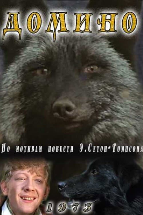 Постер: Домино