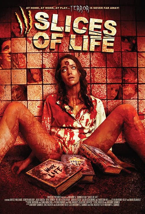 Постер: Slices of Life
