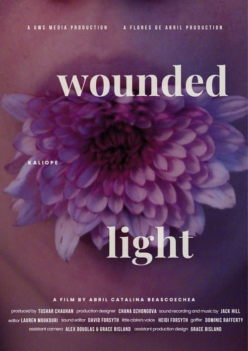 Постер: Wounded Light