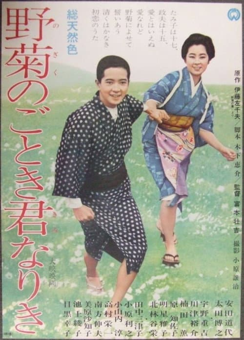 Постер: 野菊のごとき君なりき