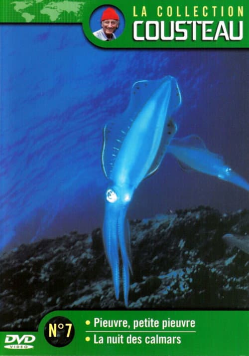 Постер: La collection Cousteau N°7 | Pieuvre, petite pieuvre | La nuit des calmars