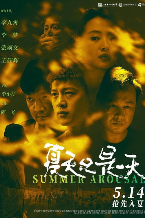 Постер: 夏天只是一天