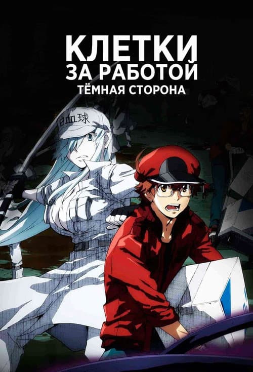 Кадр 2