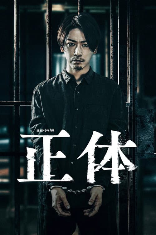 Постер: 正体