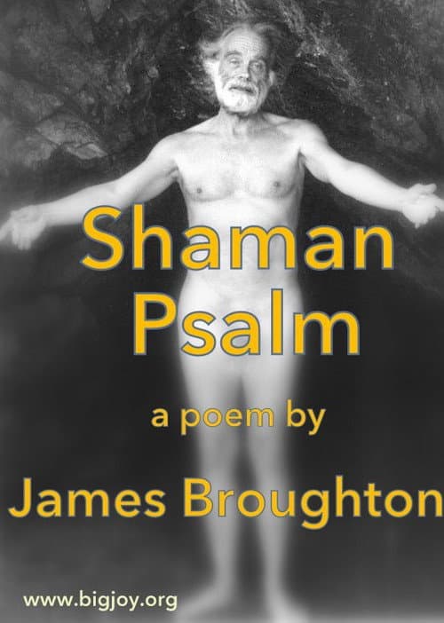 Постер: Shaman Psalm