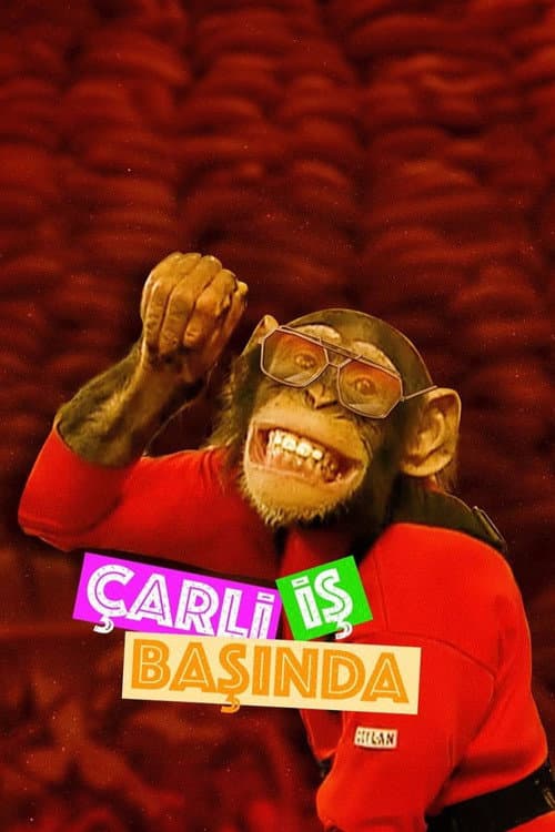 Постер: Çarli İş Başında