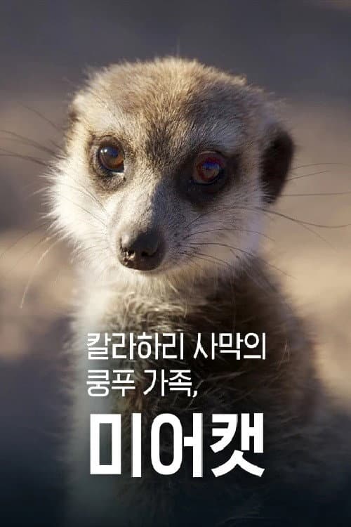 Постер: 칼라하리 사막의 쿵푸 가족, 미어캣