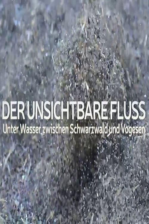 Постер: Un fleuve invisible