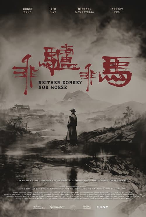Постер: Neither Donkey Nor Horse