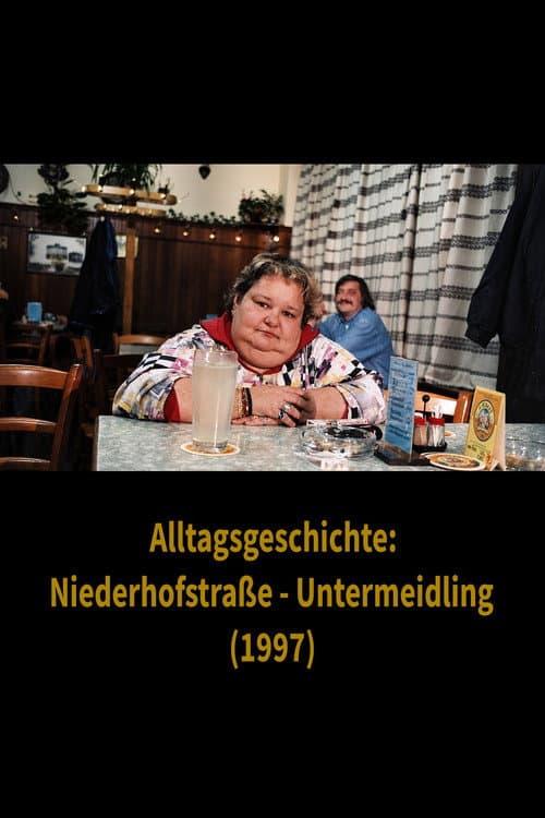 Постер: Alltagsgeschichte – Niederhofstraße Untermeidling