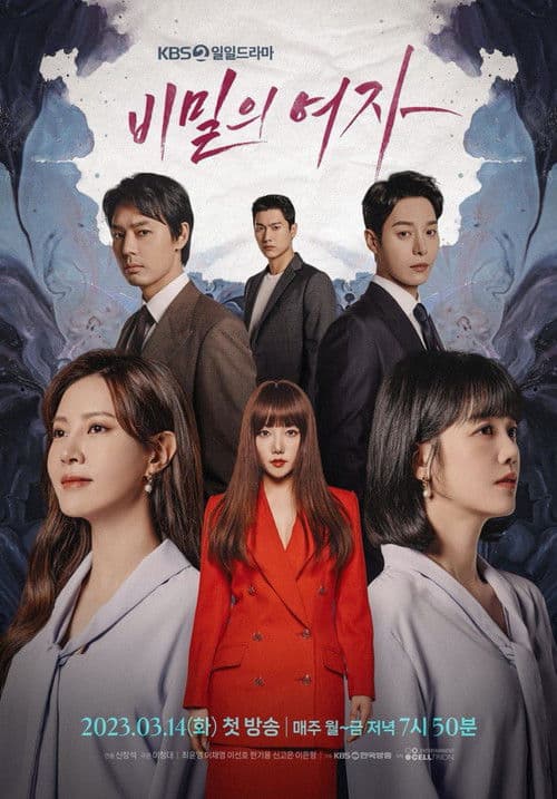 Постер: 비밀의 여자