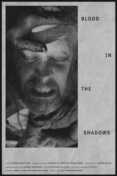 Постер: Blood in the Shadows