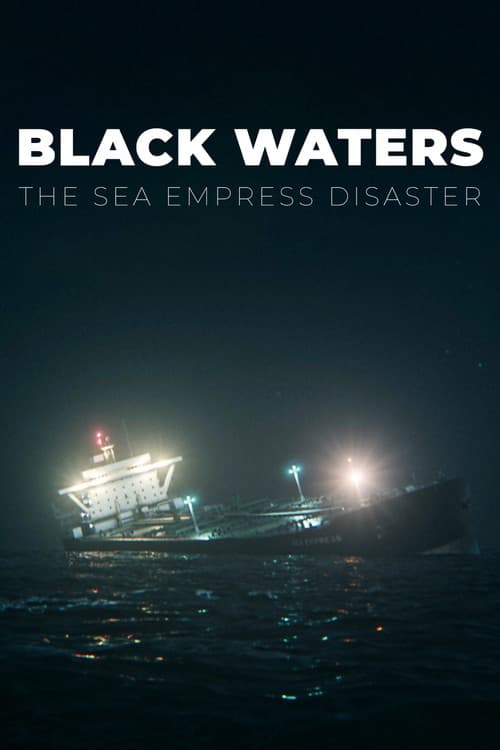 Постер: Black Waters: The Sea Empress Disaster