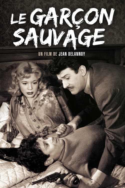 Постер: Le Garçon sauvage