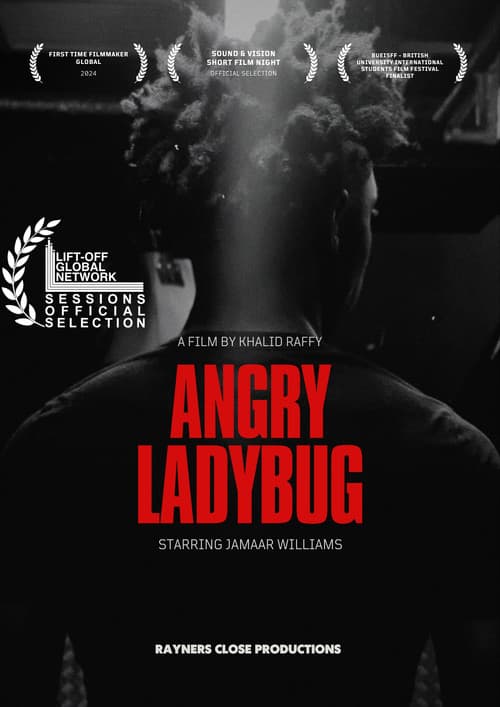 Постер: Angry Ladybug