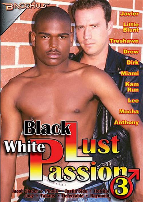Постер: Black Lust White Passion 3