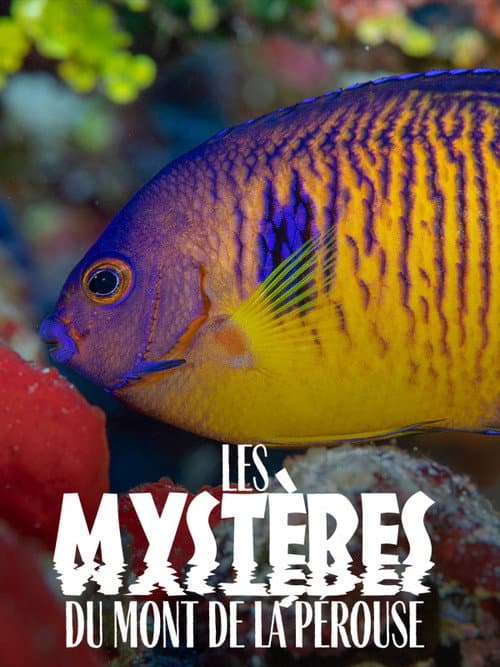 Постер: Les Mystères du mont La Pérouse