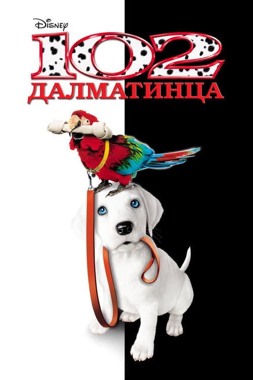 Кадр 3
