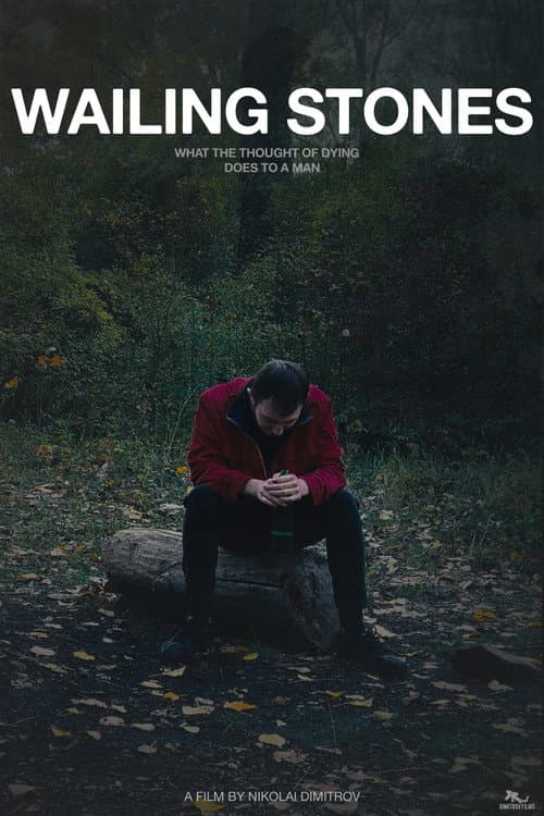 Постер: Wailing Stones