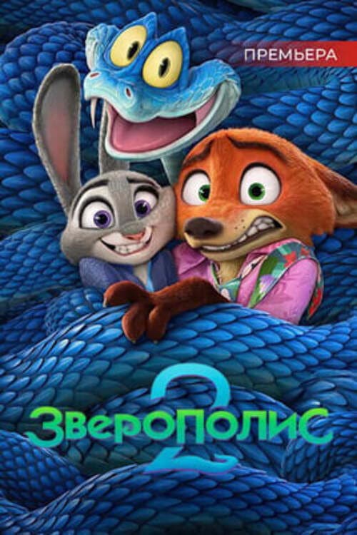 Кадр 15