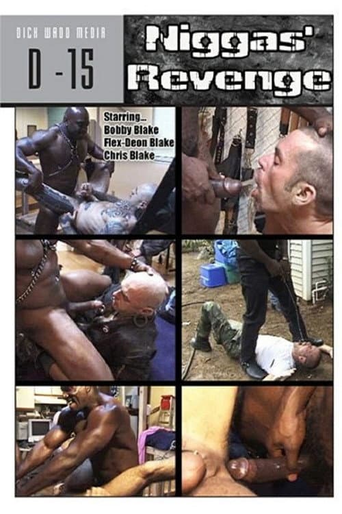 Постер: Niggas' Revenge