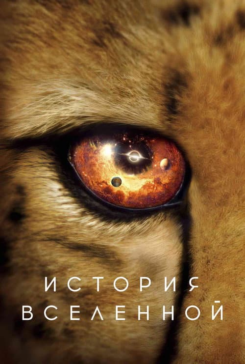 Постер: История Вселенной