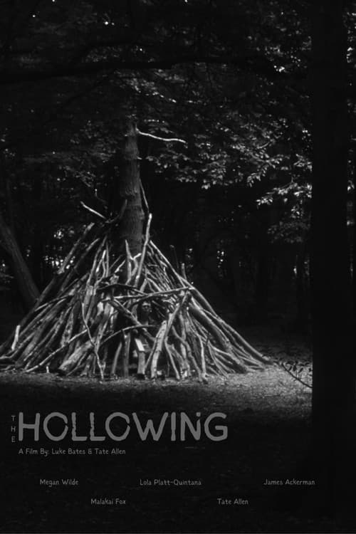 Постер: The Hollowing