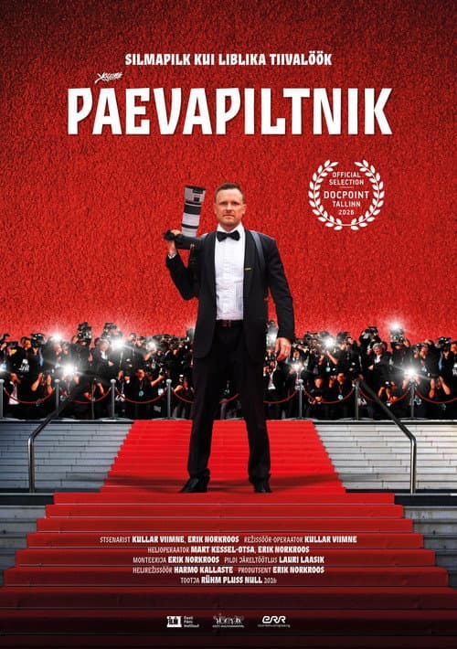 Постер: Päevapiltnik