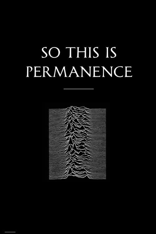 Постер: Peter Hook & The Light: So This Is Permanent