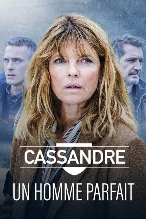 Постер: Cassandre - Un homme parfait