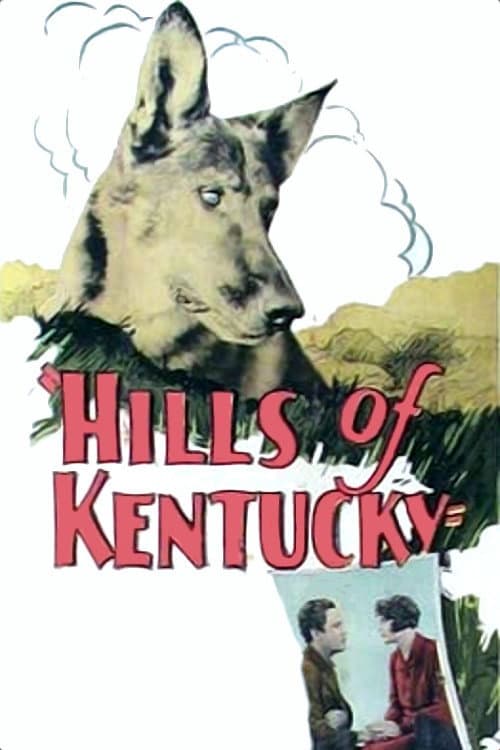 Постер: Hills of Kentucky