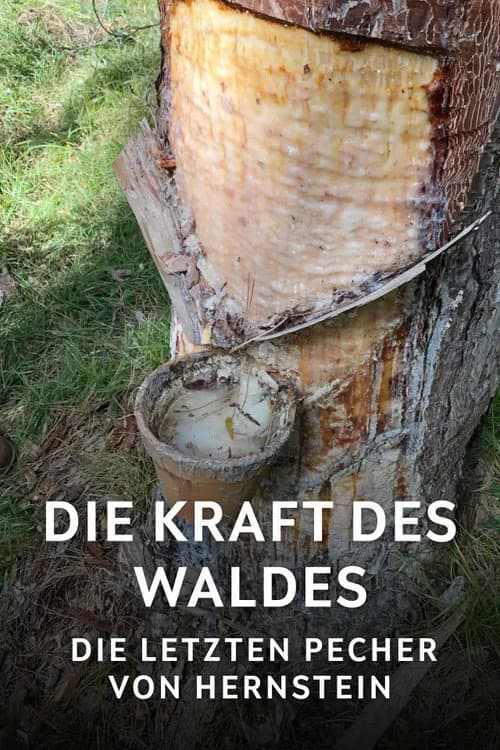 Постер: Die Kraft des Waldes - Die letzten Pecher von Hernstein