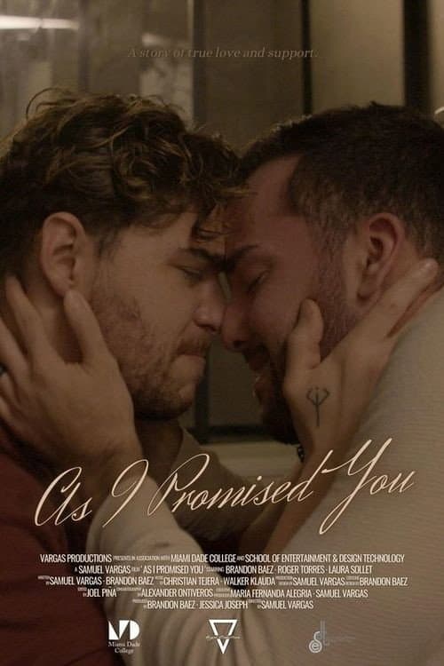 Постер: As I Promised You