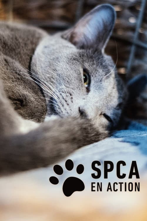 Постер: SPCA en action