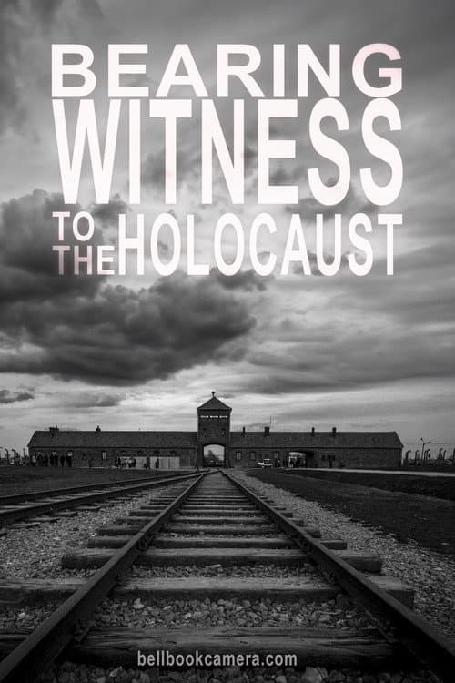 Постер: Bearing Witness to the Holocaust