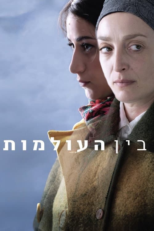 Постер: בין העולמות