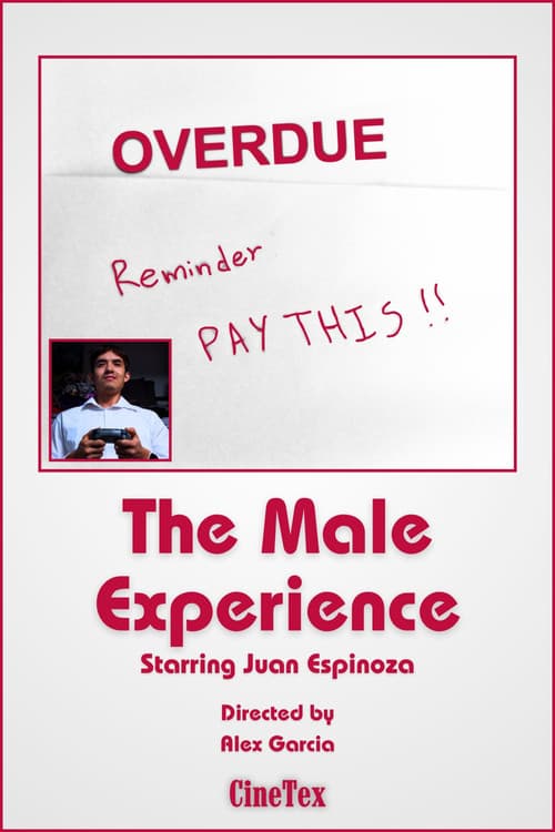 Постер: The Male Experience