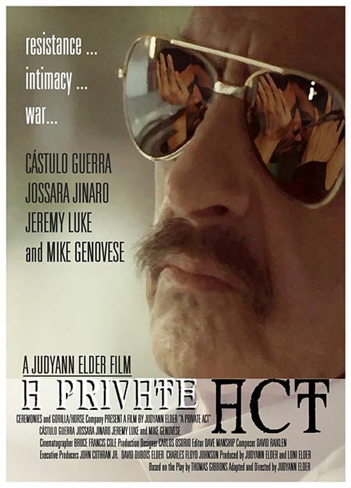 Постер: A Private Act