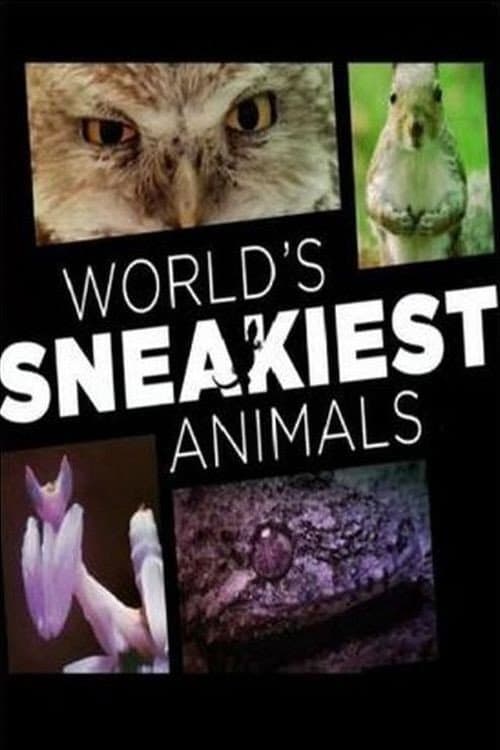 Постер: World's Sneakiest Animals