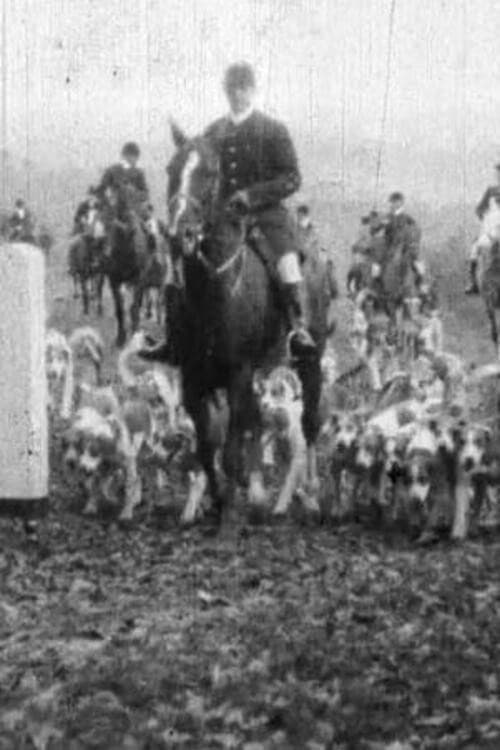 Постер: Fox Hunt