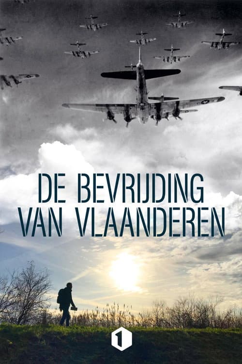 Постер: De bevrijding van Vlaanderen