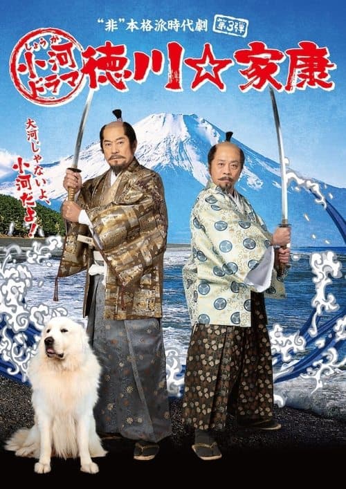 Постер: 小河ドラマ　徳川☆家康