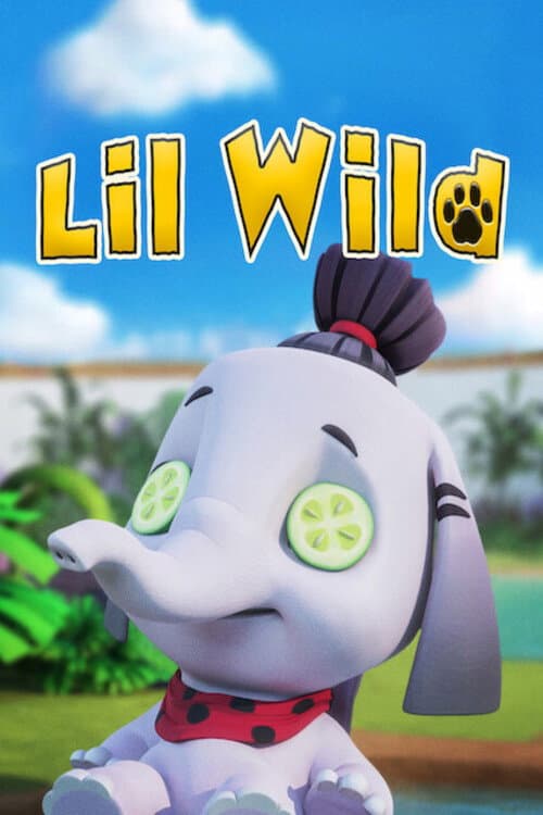 Постер: Lil Wild
