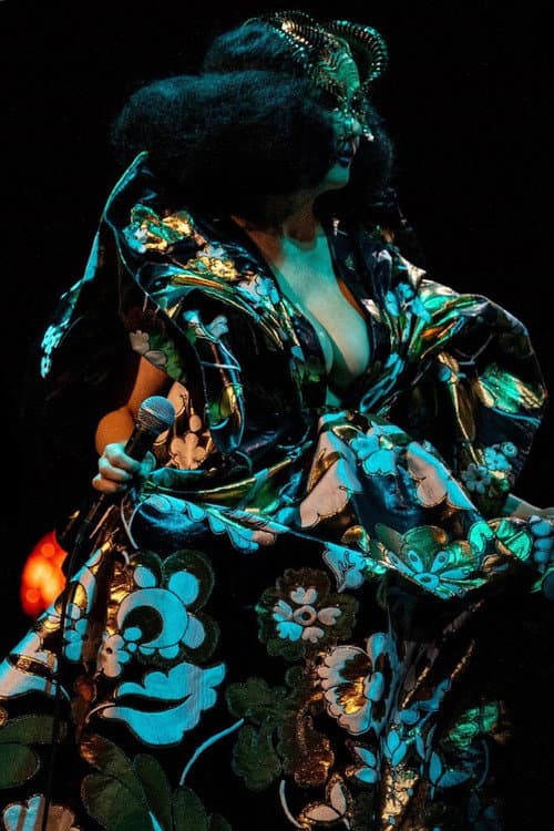 Постер: Björk Orkestral IV