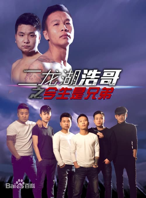 Постер: 二龙湖浩哥之今生是兄弟