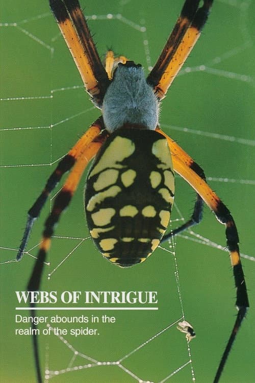 Постер: Webs of Intrigue