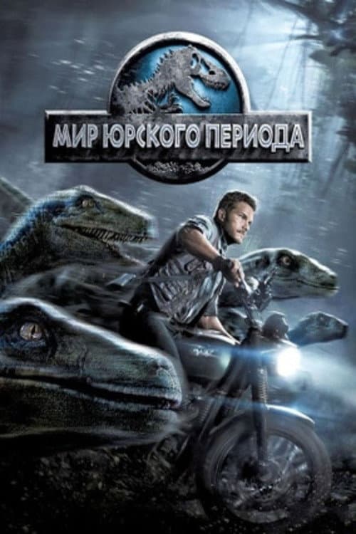 Кадр 12